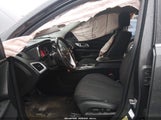 Miniaturka zdjęcia 5