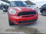 Miniaturka zdjęcia 6