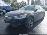 Honda Accord Lx 1HGCR2F36HA080430 снимка