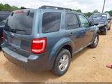 Ford Escape Xlt 1FMCU0D71AKB11649 fotografie