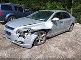 Miniaturka zdjęcia 6