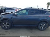 Toyota Rav4 Xle 2T3RFREV1JW844561 снимка