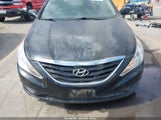 Miniaturka zdjęcia 6