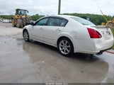 Nissan Maxima 3.5 Se 1N4BA41E37C834818 снимка