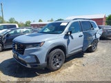 Honda Pilot Trailsport 5FNYG1H60SB010318 снимка