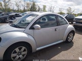 Volkswagen New Beetle 2.5 3VWRW31C37M515028 photo