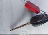 Miniaturka zdjęcia 11