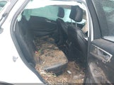 Ford Edge Sel 2FMPK4J98RBA28844 снимка