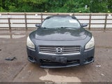 Nissan Maxima 3.5 S 1N4AA51E59C803526 снимка
