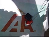 Miniaturka zdjęcia 11
