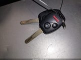 Miniaturka zdjęcia 11