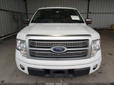 Ford F-150 King Ranch/Lariat/Platinum/Xl/Xlt 1FTPW12V79FB41685 fotografie