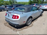 Ford Mustang V6 Premium 1ZVBP8EMXB5117912 снимка