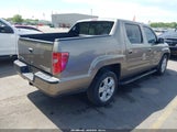 Honda Ridgeline Rtl 5FPYK1F51BB008772 fotografie