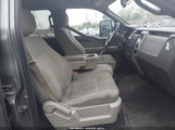 Ford F-150 Xl/Xlt 1FTEW1E82AFC61086 fotografie