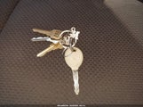 Miniaturka zdjęcia 11