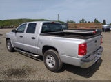 Dodge Dakota Sxt/Bighorn/Lonestar 1D7HW38K28S571942 fotografie