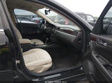 Miniaturka zdjęcia 5