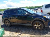 Toyota Rav4 Xle 2T3RFREV6GW448604 снимка