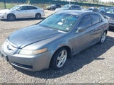 Acura Tl 19UUA66206A028718 снимка