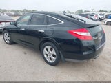 Honda Accord Crosstour Ex-L 5J6TF1H5XAL014466 снимка