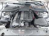BMW 530I WBANA73564B061010 снимка