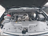 Chevrolet Silverado  Work Truck 1GCNCPEX3BZ103505 снимка