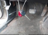 Miniaturka zdjęcia 11