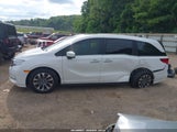 Honda Odyssey Ex-L 5FNRL6H62RB068146 photo