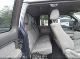 Ford F-150 Xlt 1FTEX1CM3DFA01183 снимка