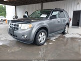 Ford Escape Xlt 1FMCU0D78BKA47336 снимка