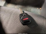 Miniaturka zdjęcia 11