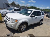 Ford Escape Xlt 1FMCU0DG7BKB66186 fotografie
