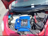 Miniaturka zdjęcia 6