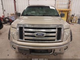 Ford F-150 Stx/Xl/Xlt 1FTEX1E88AFC48680 photo