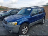 Ford Escape Xlt 1FMCU03Z77KB08203 снимка
