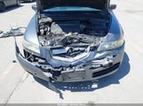 Acura Tl 19UUA66286A042334 снимка