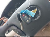 Miniaturka zdjęcia 11