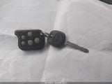 Miniaturka zdjęcia 11