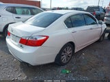 Honda Accord Ex-L V-6 1HGCR3F83DA025851 photo