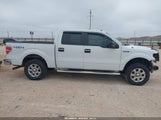 Ford F-150 Xlt 1FTFW1EF5EFC18757 снимка