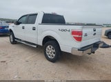 Ford F-150 Xlt 1FTFW1EF5EFC18757 снимка