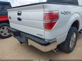 Ford F-150 Xlt 1FTFW1EF5EFC18757 снимка