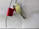 Miniaturka zdjęcia 11
