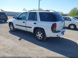 Chevrolet Trailblazer Ls 1GNDT13S352134239 снимка