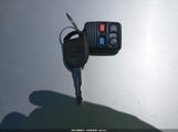 Miniaturka zdjęcia 11