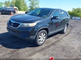Miniaturka zdjęcia 2