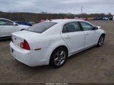 Chevrolet Malibu Lt 1G1ZH57B69F239771 снимка