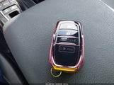 Miniaturka zdjęcia 11