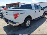 Ford F-150 Xlt 1FTFW1EF5DKE29513 снимка